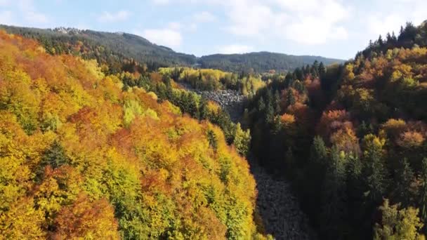 ブルガリア ソフィア市ヴィトシャ山の空中秋景色は ズラナイト モストーブ 黄金の橋 として知られています — ストック動画