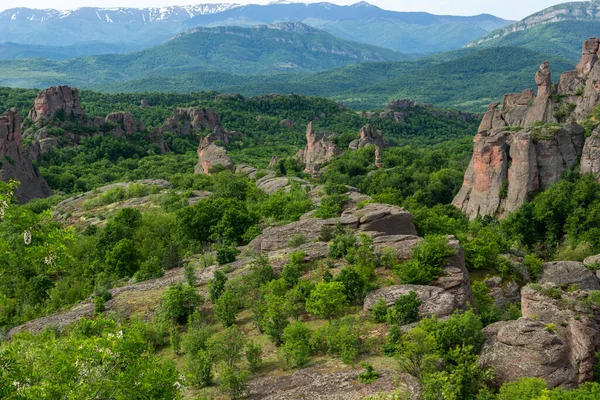 Paesaggio Incredibile Rocce Belogradchik Regione Vidin Bulgaria — Foto Stock
