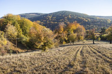 Bulgaristan 'ın Pernik bölgesindeki Erul Dağı' nın İnanılmaz Sonbahar Manzarası