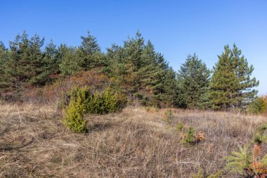 Bulgaristan 'ın Pernik bölgesindeki Erul Dağı' nın İnanılmaz Sonbahar Manzarası