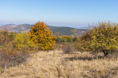 Bulgaristan 'ın Pernik bölgesindeki Erul Dağı' nın İnanılmaz Sonbahar Manzarası