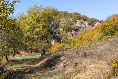 Bulgaristan 'ın Pernik bölgesindeki Erul Dağı' nın İnanılmaz Sonbahar Manzarası