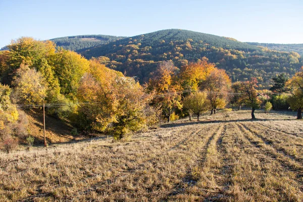 Increíble Paisaje Otoñal Montaña Erul Región Pernik Bulgaria — Foto de Stock