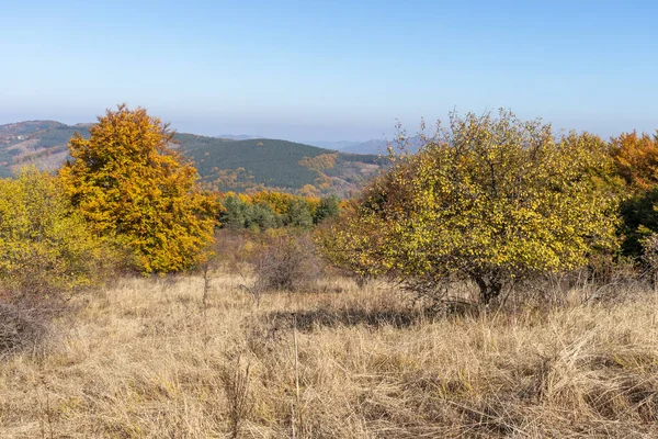 Incroyable Paysage Automne Montagne Erul Région Pernik Bulgarie — Photo