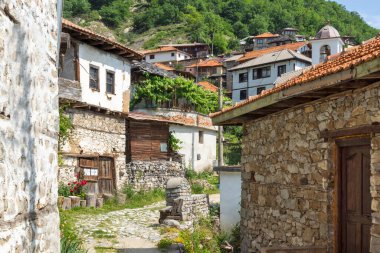 19. yüzyıldan kalma otantik evleri olan Delchevo köyü, Blagoevgrad bölgesi, Bulgaristan