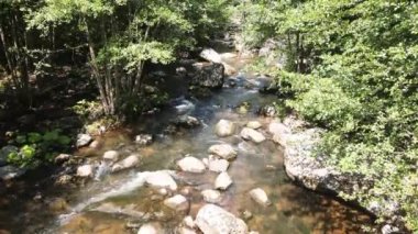 Aerial Summer view of Ecotrail Struilitsa and Devin River gorge, Smolyan Region, Bulgaria