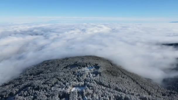 Zimowy Widok Lotu Ptaka Górę Vitosha Obwód Sofijski Bułgaria — Wideo stockowe