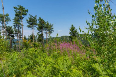 Bulgaristan 'ın Rodop Dağları' ndaki tanrı Sabazios 'a adanmış Eski Tapınak Belintash' ın yaz manzarası