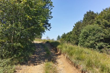 Bulgaristan 'ın Blagoevgrad bölgesindeki Belasitsa Dağı' nın şaşırtıcı yaz manzarası