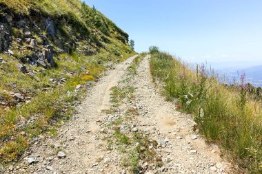 Bulgaristan 'ın Blagoevgrad bölgesindeki Belasitsa Dağı' nın şaşırtıcı yaz manzarası