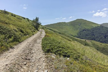 Bulgaristan 'ın Blagoevgrad bölgesindeki Belasitsa Dağı' nın şaşırtıcı yaz manzarası