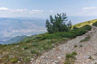 Bulgaristan 'ın Blagoevgrad bölgesindeki Belasitsa Dağı' nın şaşırtıcı yaz manzarası
