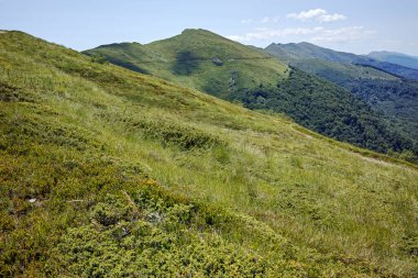 Bulgaristan 'ın Blagoevgrad bölgesindeki Belasitsa Dağı' nın şaşırtıcı yaz manzarası