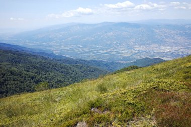 Bulgaristan 'ın Blagoevgrad bölgesindeki Belasitsa Dağı' nın şaşırtıcı yaz manzarası