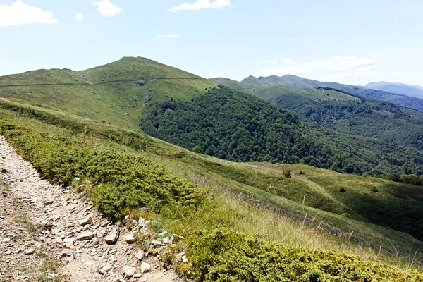 Erstaunliche Sommerlandschaft Des Belasitsa Gebirges Blagoevgrad Region Bulgarien — Stockfoto