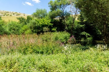 Bulgaristan 'ın Altın Panega Nehri boyunca Iskar Panega Geopark' ın inanılmaz manzarası