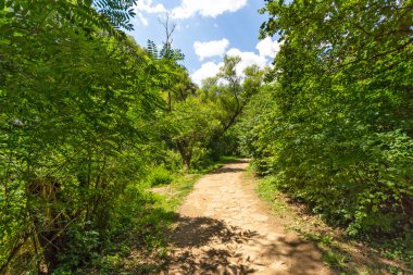 Bulgaristan 'ın Altın Panega Nehri boyunca Iskar Panega Geopark' ın inanılmaz manzarası