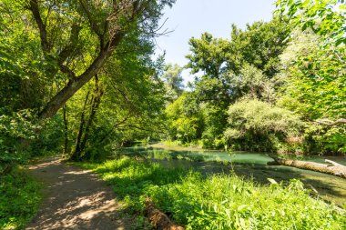Bulgaristan 'ın Altın Panega Nehri boyunca Iskar Panega Geopark' ın inanılmaz manzarası