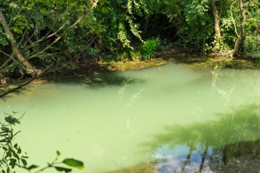 Bulgaristan 'ın Altın Panega Nehri boyunca Iskar Panega Geopark' ın inanılmaz manzarası