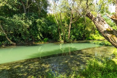 Bulgaristan 'ın Altın Panega Nehri boyunca Iskar Panega Geopark' ın inanılmaz manzarası