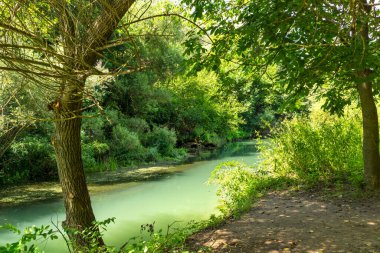 Bulgaristan 'ın Altın Panega Nehri boyunca Iskar Panega Geopark' ın inanılmaz manzarası