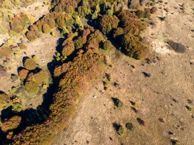 Bulgaristan 'ın Sofya kentindeki Vitosha Dağı' nın şaşırtıcı Sonbahar manzarası
