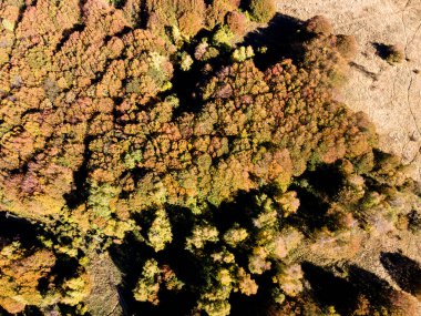 Bulgaristan 'ın Sofya kentindeki Vitosha Dağı' nın şaşırtıcı Sonbahar manzarası