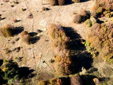 Bulgaristan 'ın Sofya kentindeki Vitosha Dağı' nın şaşırtıcı Sonbahar manzarası