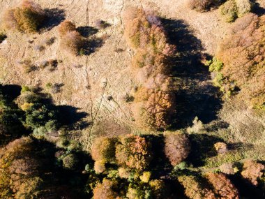Bulgaristan 'ın Sofya kentindeki Vitosha Dağı' nın şaşırtıcı Sonbahar manzarası