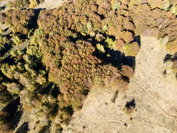 Bulgaristan 'ın Sofya kentindeki Vitosha Dağı' nın şaşırtıcı Sonbahar manzarası
