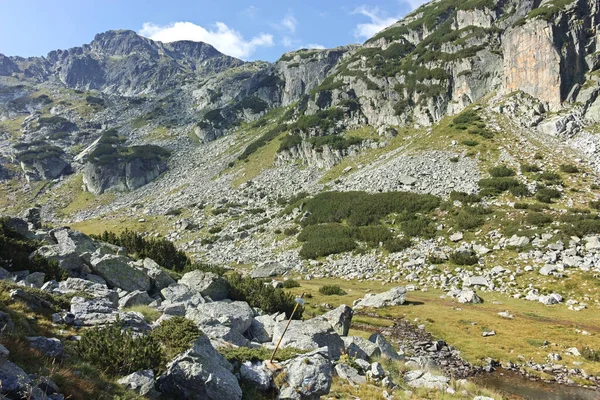 Εκπληκτικό Καλοκαιρινό Τοπίο Του Όρους Ρίλα Κοντά Στην Κορυφή Lovnitsa — Φωτογραφία Αρχείου
