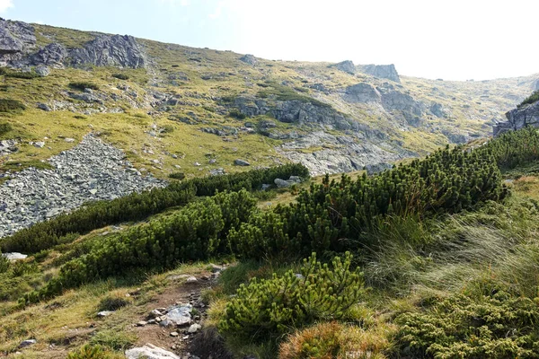 Amazing Summer Landscape Rila Mountain Lovnitsa Peak Bulgaria — Stockfoto