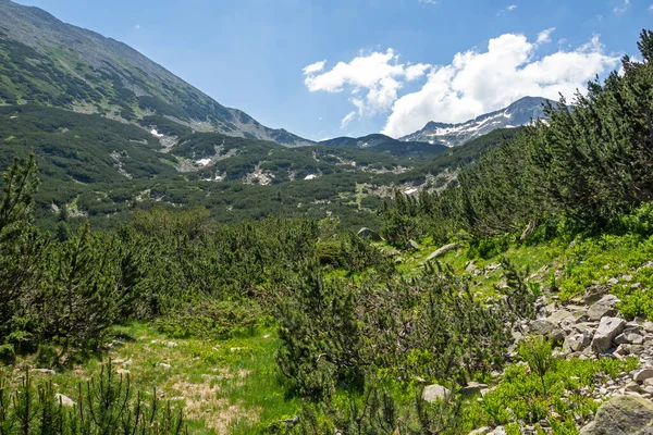 Amazing Landscape Banderitsa River Pirin Mountain Bulgaria — Stock Photo, Image