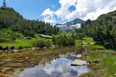Bulgaristan 'ın Pirin Dağı' ndaki Banderitsa Nehri yakınlarındaki inanılmaz manzara