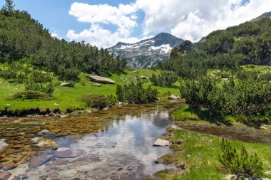 Bulgaristan 'ın Pirin Dağı' ndaki Banderitsa Nehri yakınlarındaki inanılmaz manzara