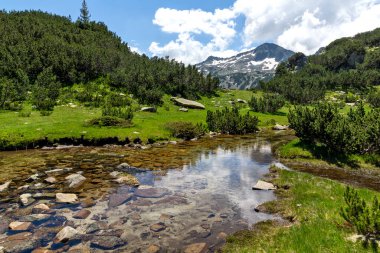 Bulgaristan 'ın Pirin Dağı' ndaki Banderitsa Nehri yakınlarındaki inanılmaz manzara