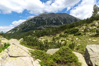 Bulgaristan 'ın Pirin Dağı' ndaki Banderitsa Nehri yakınlarındaki inanılmaz manzara