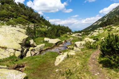 Bulgaristan 'ın Pirin Dağı' ndaki Banderitsa Nehri yakınlarındaki inanılmaz manzara