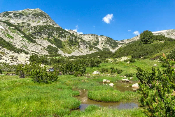 Fantastiskt Landskap Nära Floden Banderitsa Vid Pirin Mountain Bulgarien — Stockfoto
