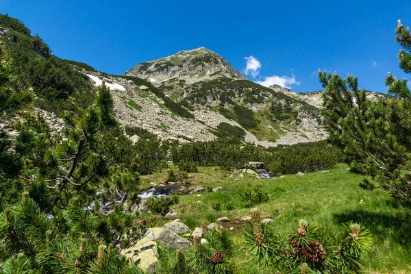 Amazing Landscape Dekat Sungai Banderitsa Pirin Mountain Bulgaria — Stok Foto