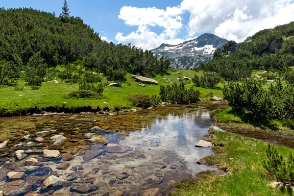 Amazing Landscape Banderitsa River Pirin Mountain Bulgaria — Stock Photo, Image