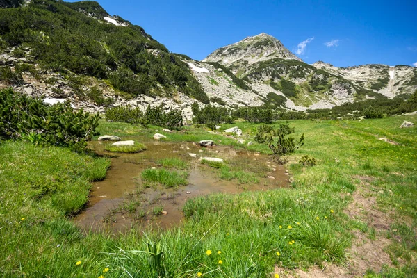 Hämmästyttävä Maisema Lähellä Banderitsa River Pirin Mountain Bulgaria — kuvapankkivalokuva