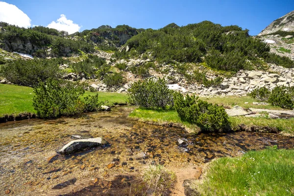 Fantastiskt Landskap Nära Floden Banderitsa Vid Pirin Mountain Bulgarien — Stockfoto