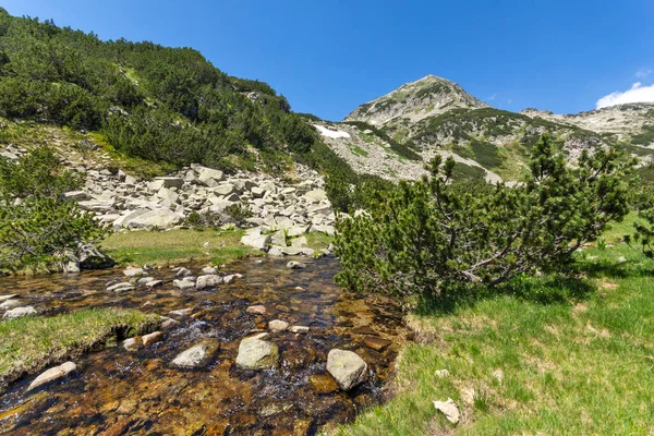 Úžasná Krajina Řeky Banderitsa Hoře Pirin Bulharsko — Stock fotografie