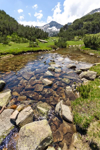 Amazing Landscape Dekat Sungai Banderitsa Pirin Mountain Bulgaria — Stok Foto