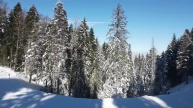 Bulgaristan 'ın Sofya Bölgesi' ndeki Borovets kayak merkezi yakınlarındaki Rila Dağı 'nın kış manzarası