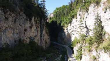 Bulgaristan 'ın Smolyan Bölgesi, Rodop Dağları' ndaki Trigrad Boğazı 'nın hava manzarası