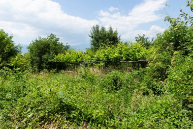 Otantik ondokuzuncu yüzyıl evleriyle Leshten Köyü, Blagoevgrad Bölgesi, Bulgaristan