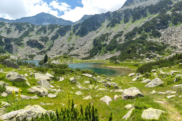 Úžasná Krajina Hory Pirin Blízkosti Rybího Jezera Banderitsa Bulharsko — Stock fotografie