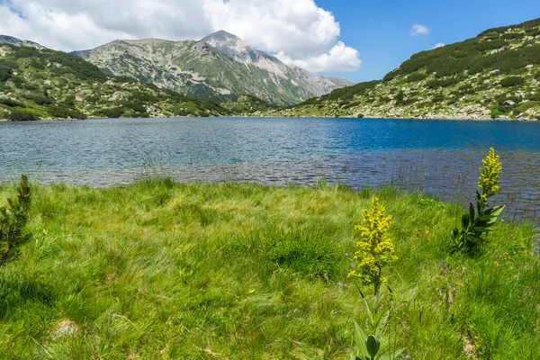 Pemandangan Gunung Pirin Yang Menakjubkan Dekat Danau Fish Banderitsa Bulgaria — Stok Foto